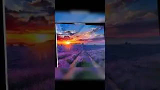 Лавандовое настроение 🥰 