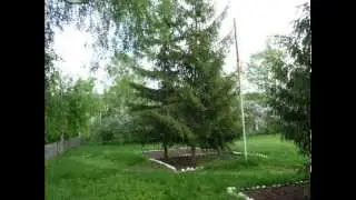 Моя деревенька