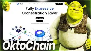 OktoChain - FULLY EXPRESSIVE ORCHESTRATION LAYER!