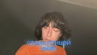 стань птицей - кино кавер