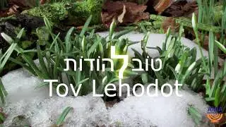 Tov Lehodot