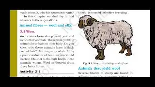 Wool, Woolen Clothes, Sheeps, From where We get wool | Wool yielding animals