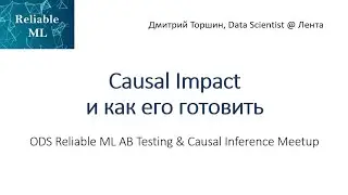 Dmitry Torshin | Causal Impact and How to Prepare It