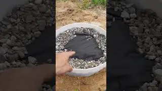 Did Small Cactus Garden #gardenscapes #diy #Garden  #cactusgarden