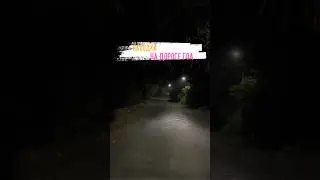 🔥 Ночные Находки на дороге Гоа