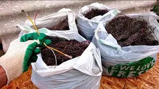 Собрал мусор и заработал. Куча меди с проводов