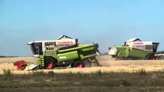 Уборка урожая 2011 3 комбайна ACROS 560 и 2 CLAAS MEGA 360