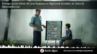 Protege (Çırak) Etkisi: Bir Şeyi Başkalarına Öğreterek Kendiniz de Daha İyi Öğrenebilirsiniz!