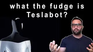Afghan Boy explains everything you need to know about the Teslabot