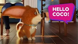 Coco gets the best