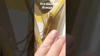поехали на велосипеде покатаемся по городу поищем находки