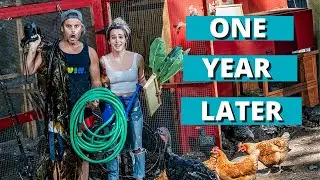 NO GROCERIES FOR AN ENTIRE YEAR!!  //  LIVING OFF THE LAND
