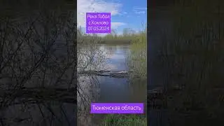 Тобол в Ялуторовском районе на 07.05.2024 г #ялуторовскийрайон #паводок2024 #хохлово #тобол #сахаров
