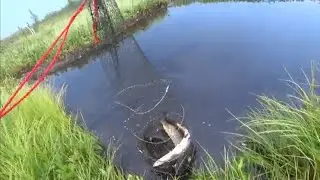 Ловим Щуку в ЯНАО.