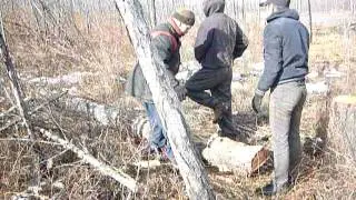 трос из бревна