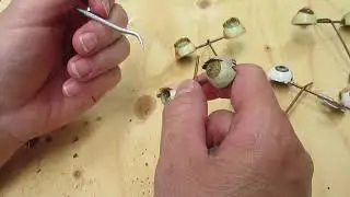 the broken doll  - Lets Restore a Doll Together - Part two