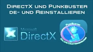 [P] DirectX und Punkbuster