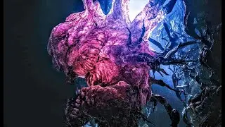 Megamycete Theory