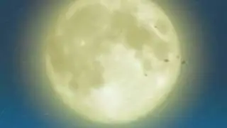 KakaSaku - All About Us