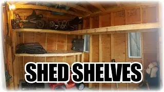 DIY Shed Shelves