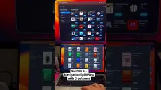 SwiftUI 4 - NavigationSplitView with 2 Columns