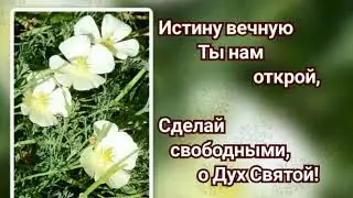 Гимны надежды 79 О Дух Святой, приди