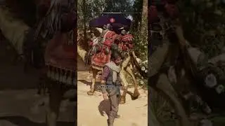 AC Mirage Pickpocket Fail