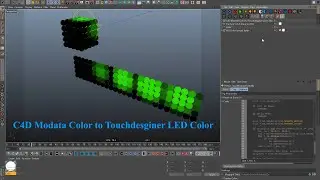 C4D Modata Color to Touchdesginer LED Color