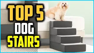 ✅ Top 5 Best Dog Stairs and Steps in 2024