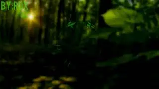 Mario rpg Forest maze RDX RMX