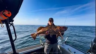 Day 2 How to TROLL for GIANT LINGCOD – Non Stop Hookups