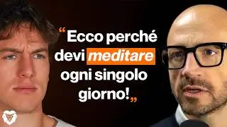Meditation Expert: 
