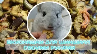 ВКУСНЯШКИ ДЛЯ ШИНШИЛЛ СВОИМИ РУКАМИ 🍀🍏🍐