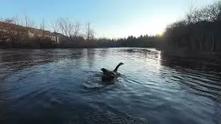 Flood Winter