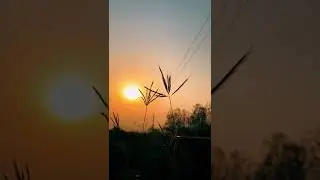 natural sky video sun video skya chang video status video sky ka video status reel and san light suj