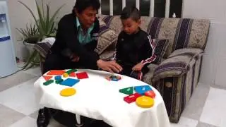 La formación De conceptos experimento dos
