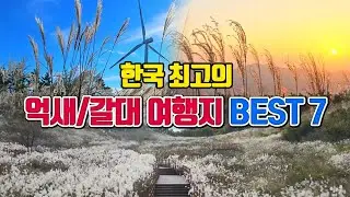 한국 최고의 억새와 갈대 여행지 BEST7 /10월 국내여행지 추천 /10월에 가볼만한곳 /가을 추천 여행지 /11월 국내여행지 추천 /11월에 가볼만한곳 /간월재 /명성산