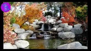 Heavy rain sounds, mike huckabee sleep aid, relaxing sleep music, relaxing sounds for sleep,...