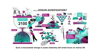 What is Ocean Acidification?