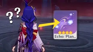 Can't Get Raiden Shogun Echo? WATCH THIS