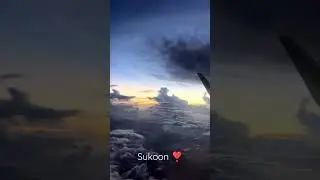 Relaxing view.