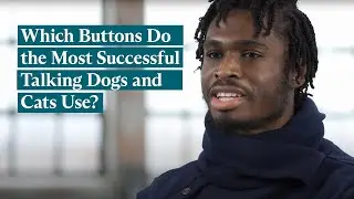 Which Buttons Do the Most Successful Dogs and Cats Use?