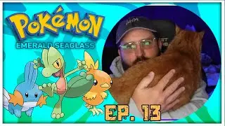 My cat took over my playthrough....Pokemon Emerald Seaglass!