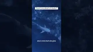 If you watch the movie Jaws backwards…