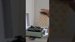 Сбылась мечта поэта🥰 #music #song #винил #виниловыйпроигрыватель #aliveaudio #анапа #мечта