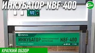 Инкубатор NBF-400