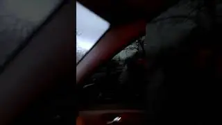 Катя и лошадки (прикол)