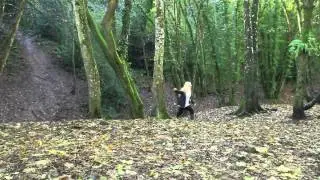 Melissa Music video first draft