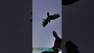 Bee Sabotage | ARK: Survival Ascended