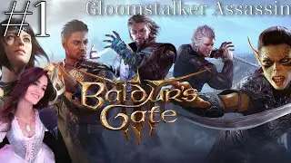 [Part 1] Baldur's Gate 3 Gloomstalker Assassin Solo Run